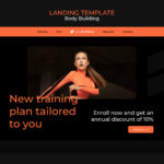 wordpress themes example